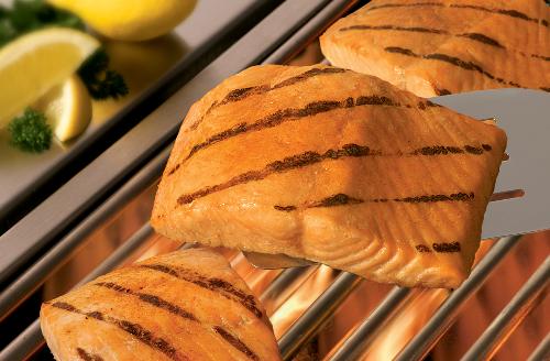 Salmon - Cooked Salmon