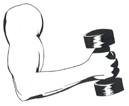 Fitness - Fitness Logo