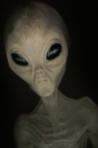alien,UFO - Aliens and UFO have been fascinating the people of Earth for a long time. It is only natural that we want to know more about the beings with whom we are sharing the universe. If aliens have visited Earth that it only makes sense that they had to use a space craft - what we as humans call an UFO - in order to make their journey from their home planet to Earth. Humans have always looked up at the sky so it isn't really a shock that some people would be lucky enough to be a friend with them or drive that UFO in the sky. We would like to share your person alien and UFO stories with the world. If you have had an encounter with an alien or have seen a UFO we would love to hear from you. We are a friendly ear that want to believe you and would never ridicule you in the way others might. So, if you would like to share your experience with us then simply write your story here describing your encounter or what you saw. Once we have a few we will put up a section of the discussions so that other people can read your real alien and real ufo stories. Also we try to get Alien become our friends. Happy to share and give some story or an idea here.