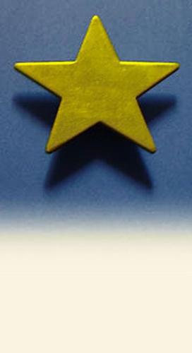 Star Ratings - This is just a gold star (which I wish I had LOL)....