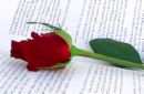 love - Is my relationship working? love - Is my relationship working?