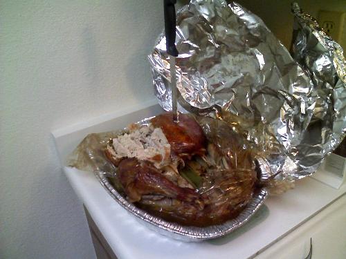 My 1st Turkey! - This is a photo I took of my very 1st Thanksgiving Turkey that I cooked all by myself... finally, at age 38! LoL :)
