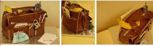 A Door To Door Preaching Bag Cake - This is a cake a Jehovah&#039;s Witness made that was in the form of a door to door preaching bag...