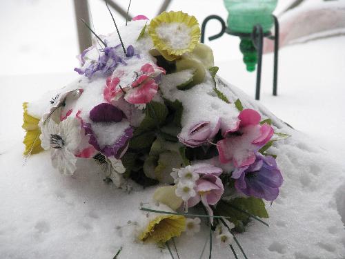 Pathetic 'Spring' Bouquet after April Snowstorm - A few days before the weather in Manitoba was warm and balmy...then an unexpected winter snowstorm hit and the 'Spring' bouquet ended up looking rather pathetic. Yet another reminder that Mother Nature has her own time clock for seasonal changes and humans need to adept...and accept.