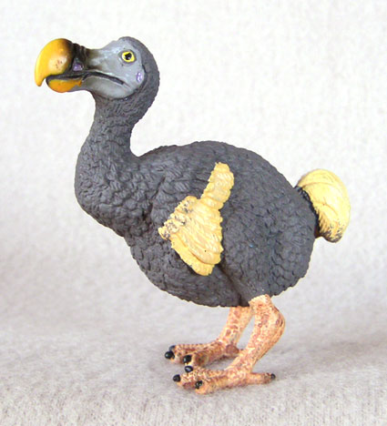 dodo bird - I thought a dodo was a bird