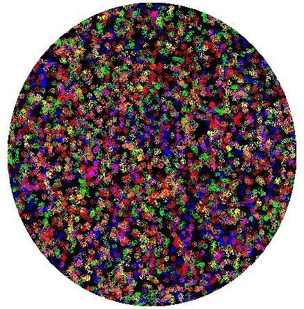 Flower sphere - This is the result of a boring half hour when my internet access went down and I was too angry about it to do anything else ... lol! The Paint program saved my sanity.