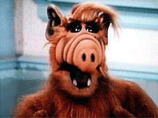 alf - alf an old tv show.