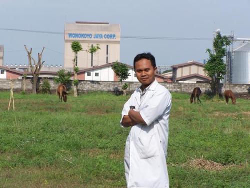 Me and Wonokoyo Factory - Me and Wonokoyo Factory image