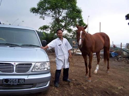 met and a horse II - met and a horse II image