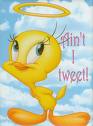 tweety - angelic tweety cute innocent