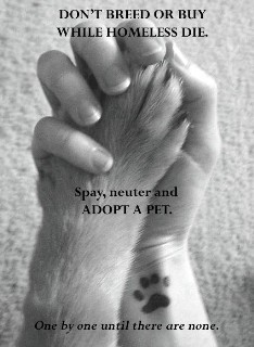 Don't Breed or Buy - Adopt a pet. Breeding or buying pets is wrong. Animal shelters has millions on pets waiting for adoption.
