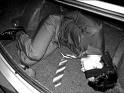 kidnapped by your father - Picture of girl tied up in rope