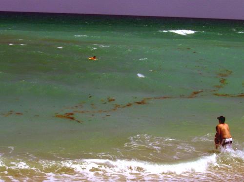 Red Tide HAB in Jupiter Florida - A Red Tide outbreak in April 2008 at a famous beach in Florida on a Sunday.