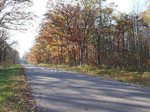 Beautiful fall scenery - Picture from Wisconsin last fall.