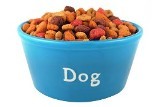 dog - dog food