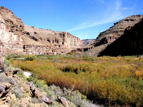 Nine Mile Canyon - Eastward view of a section of Nine Mile Canyon (which is actually forty miles long) and runs west to east. The majority of of rock art in the main canyon occurs on the north side, facing south.