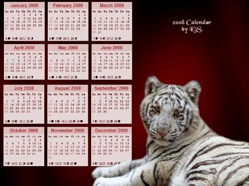 Calendar Wallpaper - White tiger cub wallpaper that I created