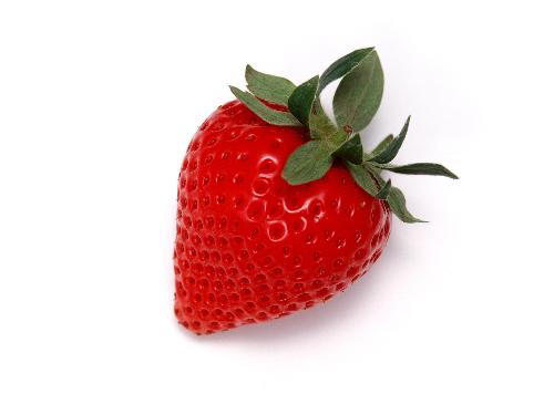 fruit  - great eye view .