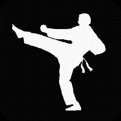 martial arts - black and white photo showing martial arts