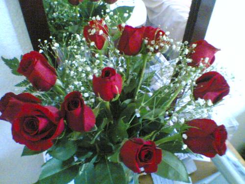 roses - roses. a dozen red roses.