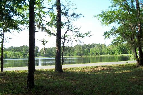 natural beauty - A beautiful pond at our campsite in GA
