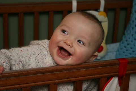 One of my gorgeous grandchildren - CAW is so sweet and funny. He's just walking and having his first tantrums. So cute!!