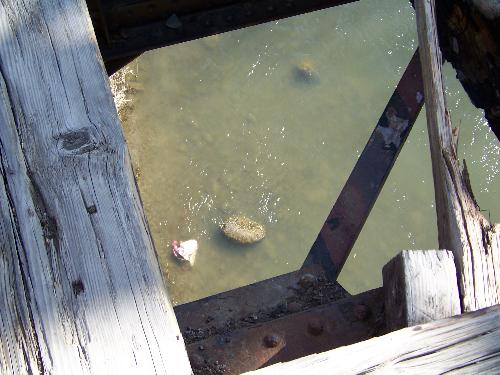 The hole in the bridge that was build in 1907 - An old train bridge that is no longer used. We walked across it and came across this hole where the wood rotten out.