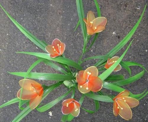 Ronde flower - the main material is sock