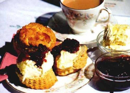 devon cream tea - devon cream tea, just to whet the appetite!