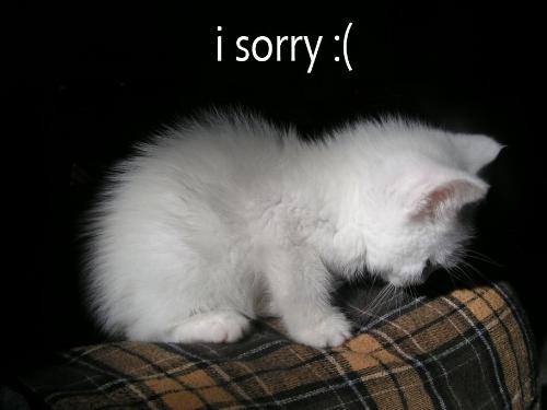 I'm Sorry... - I'm Sorry...