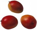 mangoes - great fruit! wonderful aroma - great fiber and flavor - but also a GREAT BIG pit - do you know how to cut the fruit off of the pit? mangoes - great fruit! wonderful aroma - great fiber and flavor - but also a GREAT BIG pit - do you know how to cut the fruit off of the pit?