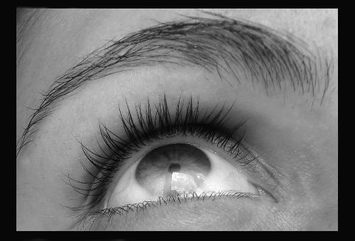 b&w eye - eye in black and white