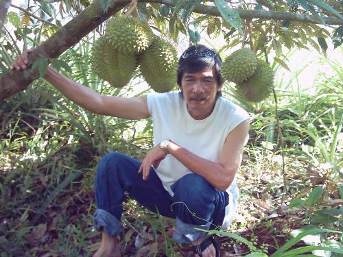 My fathe make some post. During his vacation in ou - My father make some post. During his vacation in our province.