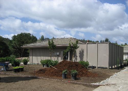 Our Lawn - This was a surprise when we got 'home' but soon it will be prettier than before, with many new trees and shrubs.