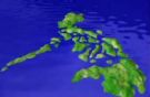 philippines - this my country's island