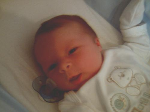 Baby Henry - The newiest arrival to our family Henry was born on the 22ndApril 2008.