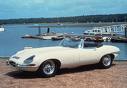 e type jaguar - E Type Jaguar last built in the 1960's I believe.