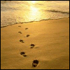 Another Beach avatar - Can;t decide which one to use so I am displaying all 3 until I make a choice