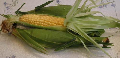 Corn... - Corn... 
