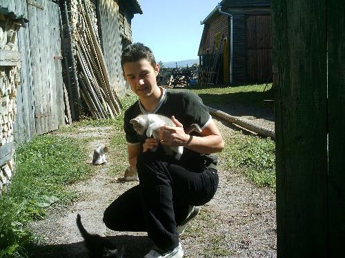 Cat Nr:1 - This kat never stops he walks all the day, , as you can see on the picture too, he tryes to escape from my hands,