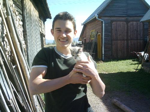 Cat nr: 2 - I think this is the same cat, his name is: cirmos
