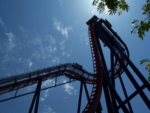 SheiKra - A picture I took of the Sheikra at Busch Gardens after I got off of it. That Drop is INSANE!! It's 90 degrees and 200 feet drop. I went back on 3 more times!!