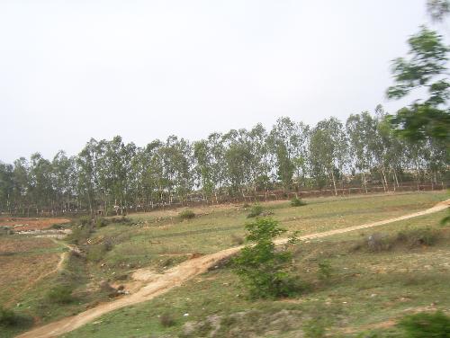 Bangalore to Chennai - This pic was taken by me while I was on my way fro Bangalore to Chennai..