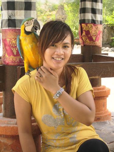 Me and Parrot at Bali Zoo - Me and Parrot at Bali Zoo, Bali indonesia