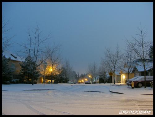 snow - took this at 5:30 in the morning, one of my best pictures so far! but i think i can do better!