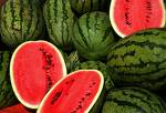 fruit - my favorite fruit