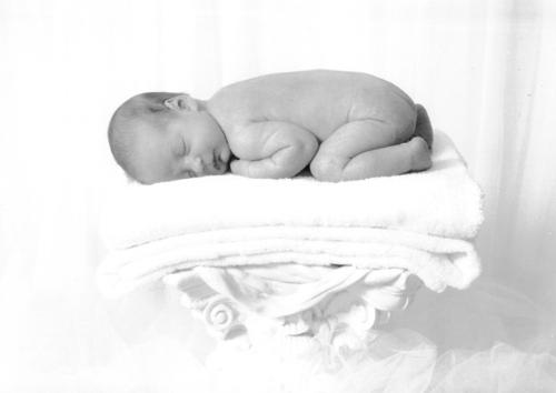 babies - cute babies