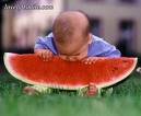 water melon picture - ohhhhhhhhhh this baby what he is doing tell me