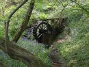 Heaven Farm - Millennium Water Wheel - In the Bluebell Woods of Heaven Farm, on the Nature Trail, lies the Millennium Water Wheel.