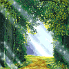 A pretty picture - I like this beautiful picture of nature